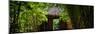 China 10MKm2 Collection - Bamboo Forest-Philippe Hugonnard-Mounted Photographic Print