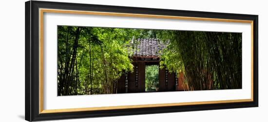 China 10MKm2 Collection - Bamboo Forest-Philippe Hugonnard-Framed Photographic Print