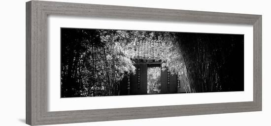 China 10MKm2 Collection - Bamboo Forest-Philippe Hugonnard-Framed Photographic Print