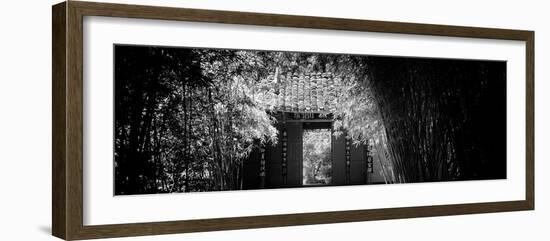 China 10MKm2 Collection - Bamboo Forest-Philippe Hugonnard-Framed Photographic Print