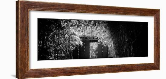 China 10MKm2 Collection - Bamboo Forest-Philippe Hugonnard-Framed Photographic Print