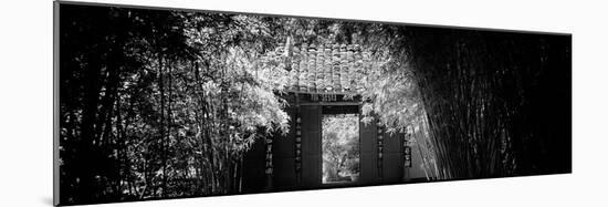 China 10MKm2 Collection - Bamboo Forest-Philippe Hugonnard-Mounted Photographic Print