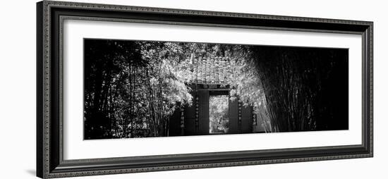 China 10MKm2 Collection - Bamboo Forest-Philippe Hugonnard-Framed Photographic Print