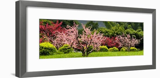 China 10MKm2 Collection - Beautiful Asian Garden-Philippe Hugonnard-Framed Photographic Print