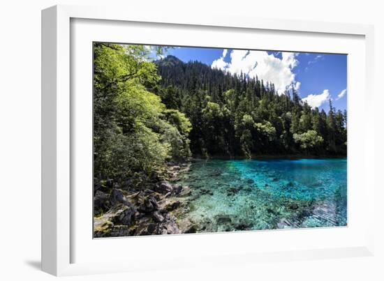 China 10MKm2 Collection - Beautiful Lake in the Jiuzhaigou National Park-Philippe Hugonnard-Framed Photographic Print