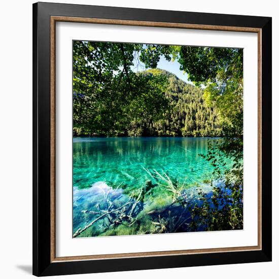 China 10MKm2 Collection - Beautiful Lake in the Jiuzhaigou National Park-Philippe Hugonnard-Framed Photographic Print