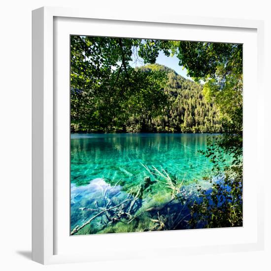 China 10MKm2 Collection - Beautiful Lake in the Jiuzhaigou National Park-Philippe Hugonnard-Framed Photographic Print