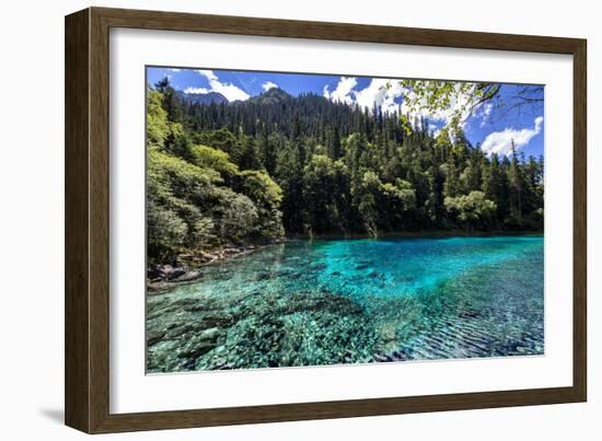 China 10MKm2 Collection - Beautiful Lake in the Jiuzhaigou National Park-Philippe Hugonnard-Framed Photographic Print