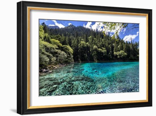 China 10MKm2 Collection - Beautiful Lake in the Jiuzhaigou National Park-Philippe Hugonnard-Framed Photographic Print