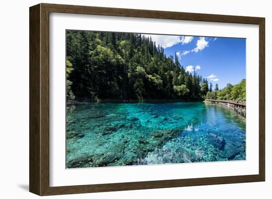 China 10MKm2 Collection - Beautiful Lake in the Jiuzhaigou National Park-Philippe Hugonnard-Framed Photographic Print