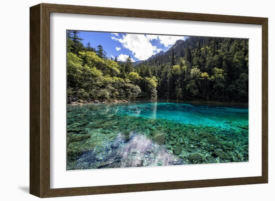 China 10MKm2 Collection - Beautiful Lake in the Jiuzhaigou National Park-Philippe Hugonnard-Framed Photographic Print