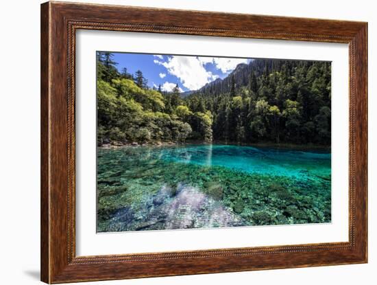 China 10MKm2 Collection - Beautiful Lake in the Jiuzhaigou National Park-Philippe Hugonnard-Framed Photographic Print