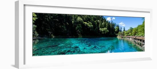 China 10MKm2 Collection - Beautiful Lake in the Jiuzhaigou National Park-Philippe Hugonnard-Framed Photographic Print