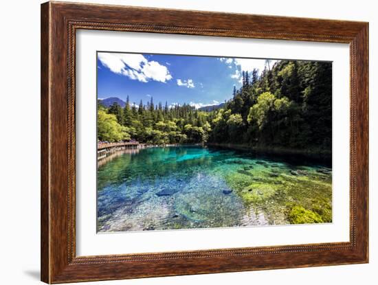 China 10MKm2 Collection - Beautiful Lake in the Jiuzhaigou National Park-Philippe Hugonnard-Framed Photographic Print