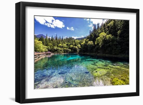 China 10MKm2 Collection - Beautiful Lake in the Jiuzhaigou National Park-Philippe Hugonnard-Framed Photographic Print