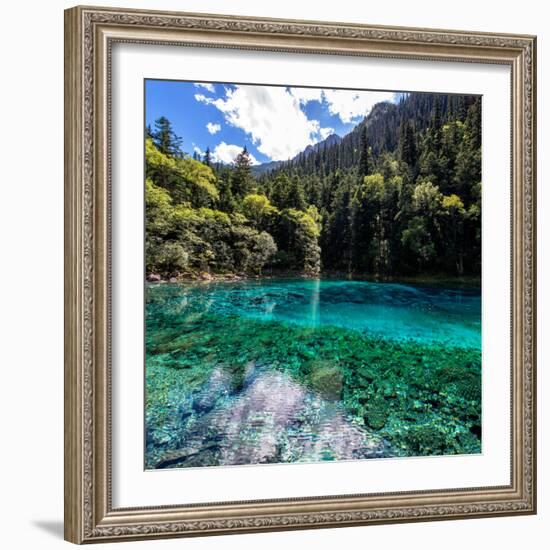 China 10MKm2 Collection - Beautiful Lake in the Jiuzhaigou National Park-Philippe Hugonnard-Framed Photographic Print