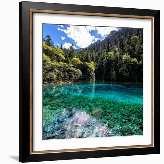 China 10MKm2 Collection - Beautiful Lake in the Jiuzhaigou National Park-Philippe Hugonnard-Framed Photographic Print