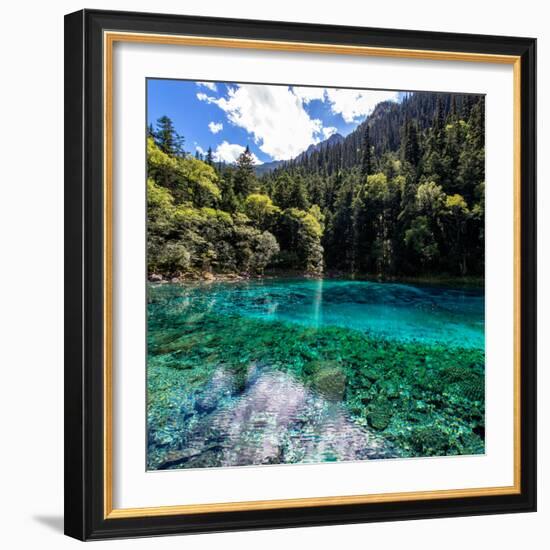 China 10MKm2 Collection - Beautiful Lake in the Jiuzhaigou National Park-Philippe Hugonnard-Framed Photographic Print