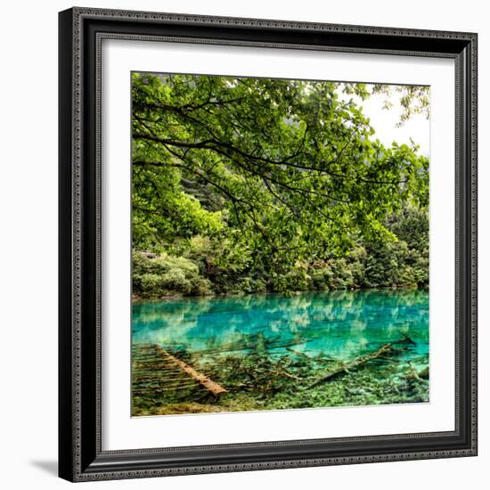 China 10MKm2 Collection - Beautiful Lake in the Jiuzhaigou National Park-Philippe Hugonnard-Framed Photographic Print