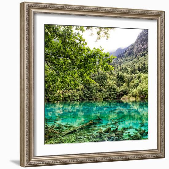 China 10MKm2 Collection - Beautiful Lake in the Jiuzhaigou National Park-Philippe Hugonnard-Framed Photographic Print