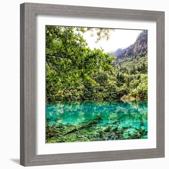 China 10MKm2 Collection - Beautiful Lake in the Jiuzhaigou National Park-Philippe Hugonnard-Framed Photographic Print