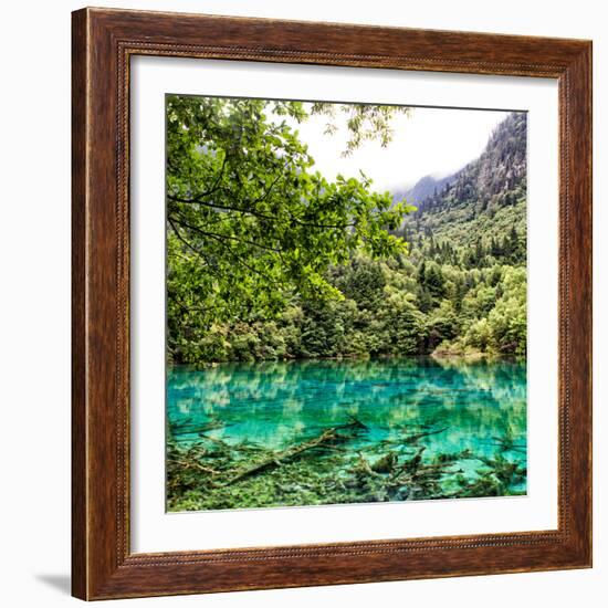 China 10MKm2 Collection - Beautiful Lake in the Jiuzhaigou National Park-Philippe Hugonnard-Framed Photographic Print