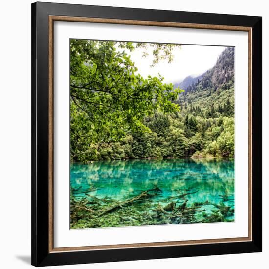 China 10MKm2 Collection - Beautiful Lake in the Jiuzhaigou National Park-Philippe Hugonnard-Framed Photographic Print