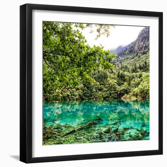 China 10MKm2 Collection - Beautiful Lake in the Jiuzhaigou National Park-Philippe Hugonnard-Framed Photographic Print