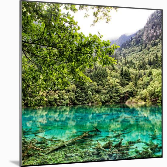 China 10MKm2 Collection - Beautiful Lake in the Jiuzhaigou National Park-Philippe Hugonnard-Mounted Photographic Print