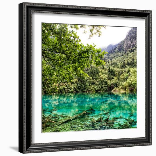 China 10MKm2 Collection - Beautiful Lake in the Jiuzhaigou National Park-Philippe Hugonnard-Framed Photographic Print