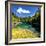 China 10MKm2 Collection - Beautiful Lake in the Jiuzhaigou National Park-Philippe Hugonnard-Framed Photographic Print