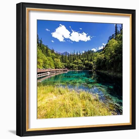 China 10MKm2 Collection - Beautiful Lake in the Jiuzhaigou National Park-Philippe Hugonnard-Framed Photographic Print