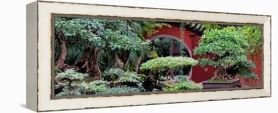 China 10MKm2 Collection - Bonsai Trees-Philippe Hugonnard-Framed Premier Image Canvas