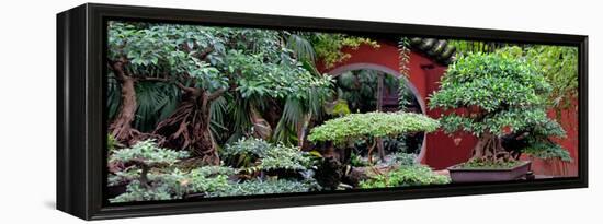 China 10MKm2 Collection - Bonsai Trees-Philippe Hugonnard-Framed Premier Image Canvas