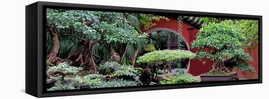 China 10MKm2 Collection - Bonsai Trees-Philippe Hugonnard-Framed Premier Image Canvas