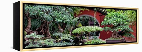 China 10MKm2 Collection - Bonsai Trees-Philippe Hugonnard-Framed Premier Image Canvas