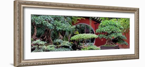 China 10MKm2 Collection - Bonsai Trees-Philippe Hugonnard-Framed Photographic Print