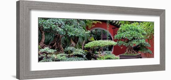 China 10MKm2 Collection - Bonsai Trees-Philippe Hugonnard-Framed Photographic Print