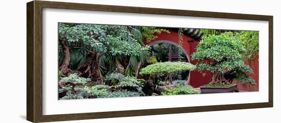 China 10MKm2 Collection - Bonsai Trees-Philippe Hugonnard-Framed Photographic Print