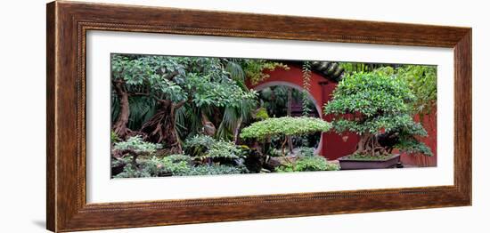 China 10MKm2 Collection - Bonsai Trees-Philippe Hugonnard-Framed Photographic Print