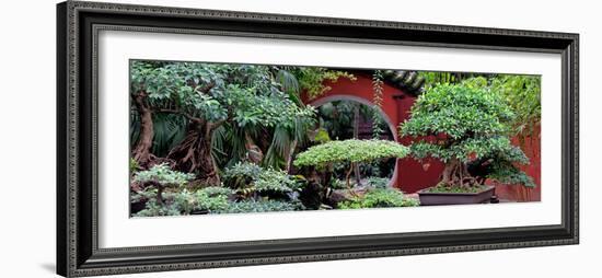 China 10MKm2 Collection - Bonsai Trees-Philippe Hugonnard-Framed Photographic Print