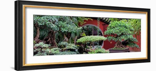 China 10MKm2 Collection - Bonsai Trees-Philippe Hugonnard-Framed Photographic Print