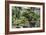 China 10MKm2 Collection - Bonsai Trees-Philippe Hugonnard-Framed Photographic Print