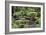 China 10MKm2 Collection - Bonsai Trees-Philippe Hugonnard-Framed Photographic Print