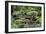 China 10MKm2 Collection - Bonsai Trees-Philippe Hugonnard-Framed Photographic Print