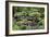 China 10MKm2 Collection - Bonsai Trees-Philippe Hugonnard-Framed Photographic Print