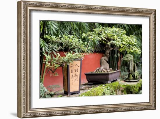 China 10MKm2 Collection - Bonsai Trees-Philippe Hugonnard-Framed Photographic Print