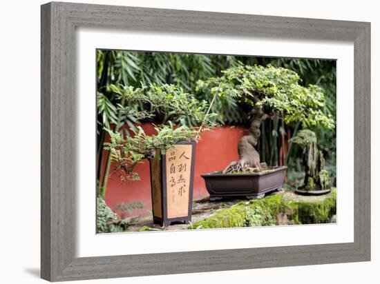 China 10MKm2 Collection - Bonsai Trees-Philippe Hugonnard-Framed Photographic Print