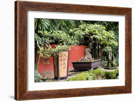 China 10MKm2 Collection - Bonsai Trees-Philippe Hugonnard-Framed Photographic Print