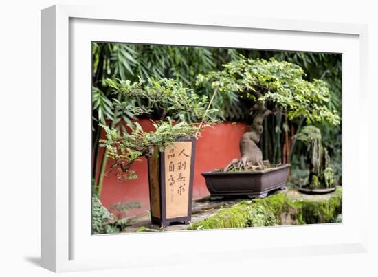 China 10MKm2 Collection - Bonsai Trees-Philippe Hugonnard-Framed Photographic Print